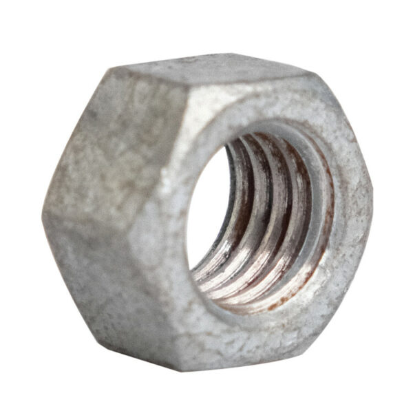 20 Hot Dipped Galvanized Nut